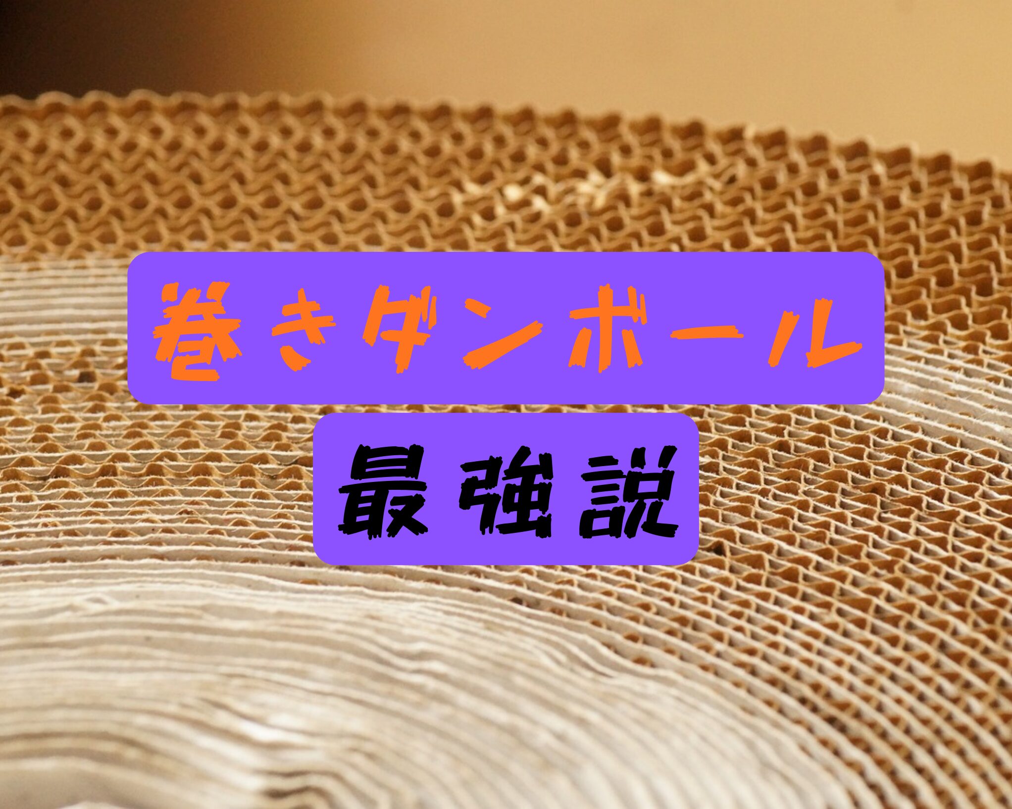 巻きダンボールの断面を背景にテーマ「巻きダンボール最強説」を記載。