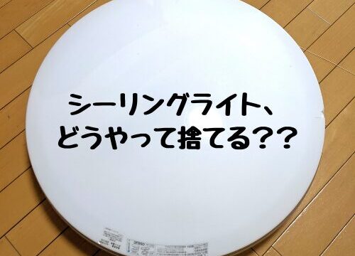 シーリングライトを床に置き「シーリングライト、どうやって捨てる？？」と問いかけているサムネイル画像。